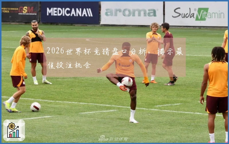 2026世界杯竞猜盘口分析，揭示最佳投注机会