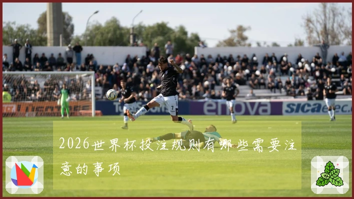 2026世界杯投注规则有哪些需要注意的事项