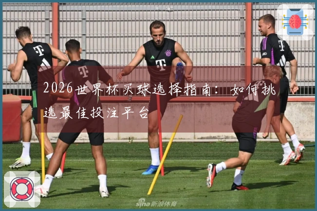 2026世界杯买球选择指南：如何挑选最佳投注平台