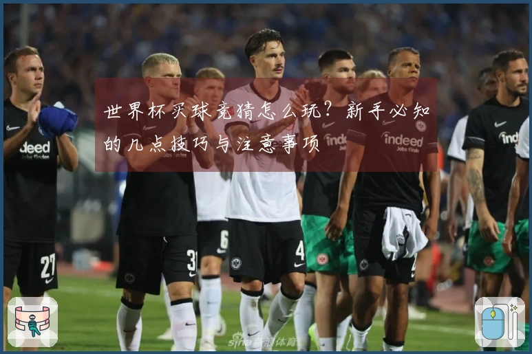 世界杯买球竞猜怎么玩？新手必知的几点技巧与注意事项