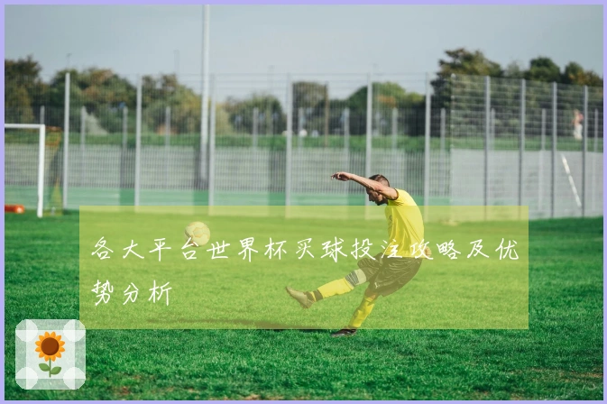 各大平台世界杯买球投注攻略及优势分析