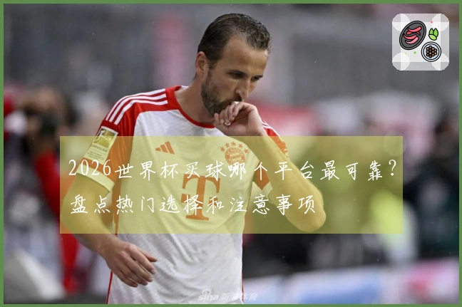 2026世界杯买球哪个平台最可靠？盘点热门选择和注意事项