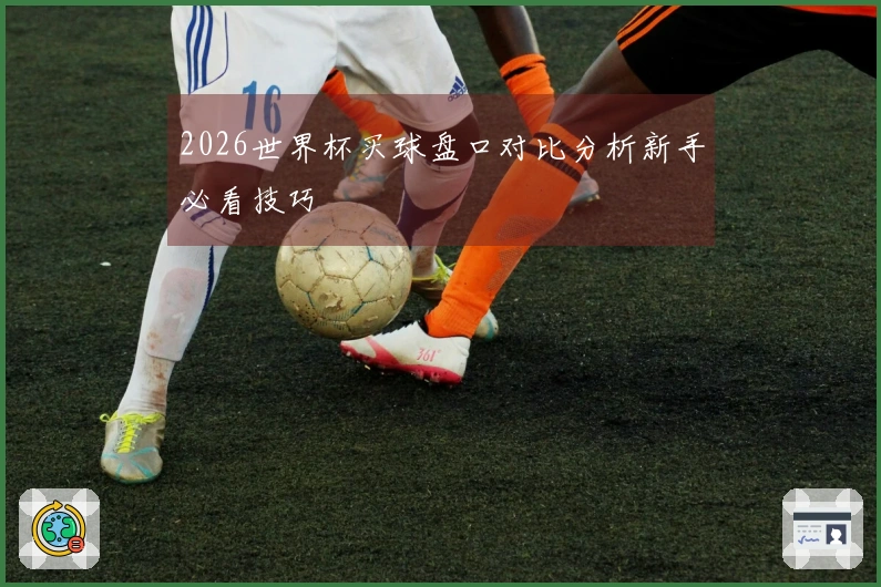2026世界杯买球盘口对比分析新手必看技巧