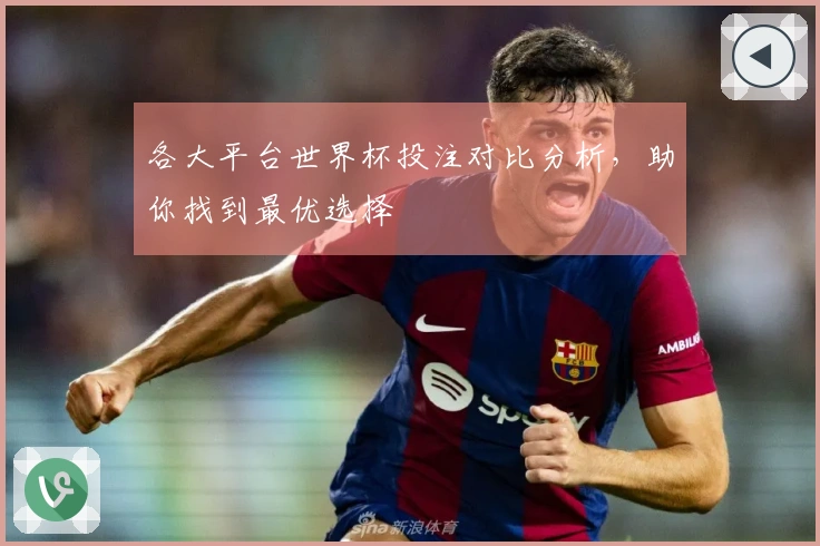 各大平台世界杯投注对比分析,助你找到最优选择