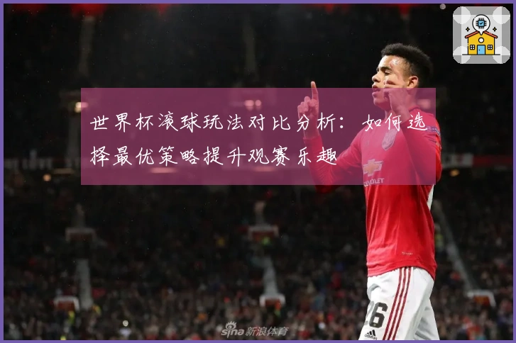 世界杯滚球玩法对比分析：如何选择最优策略提升观赛乐趣