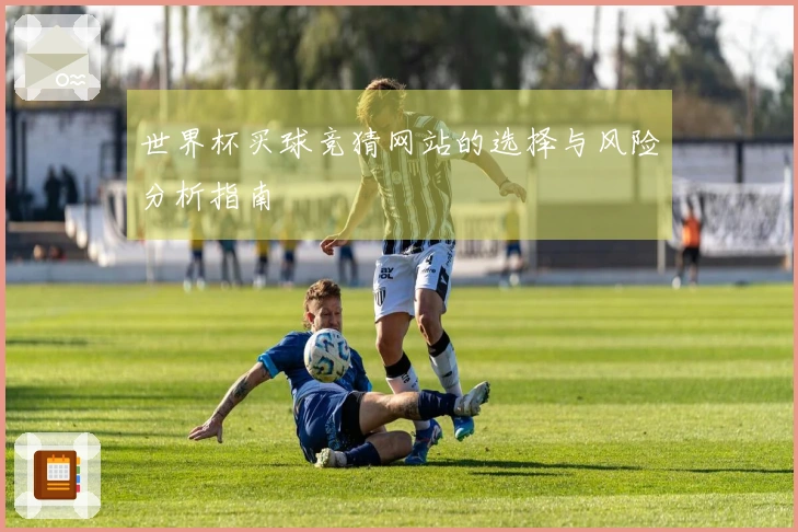 世界杯买球竞猜网站的选择与风险分析指南