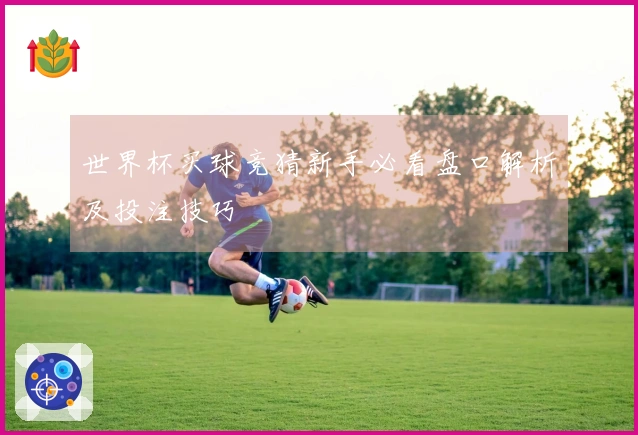 世界杯买球竞猜新手必看盘口解析及投注技巧
