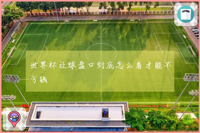 世界杯让球盘口到底怎么看才能不亏钱