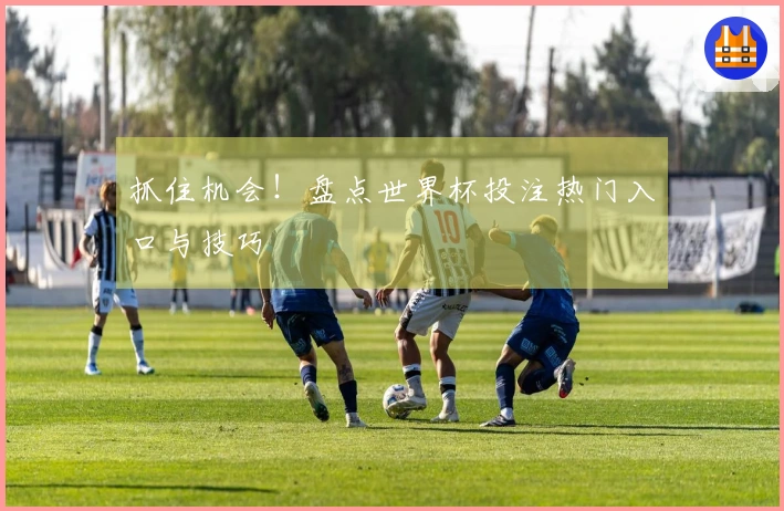 抓住机会！盘点世界杯投注热门入口与技巧