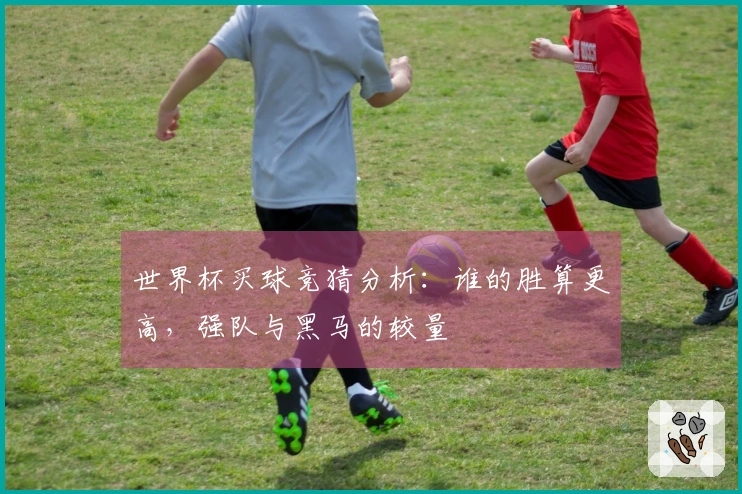 世界杯买球竞猜分析：谁的胜算更高，强队与黑马的较量