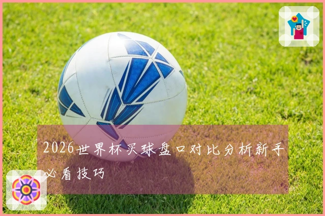 2026世界杯买球盘口对比分析新手必看技巧