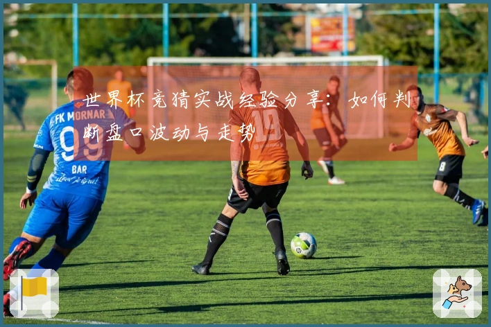 世界杯竞猜实战经验分享：如何判断盘口波动与走势