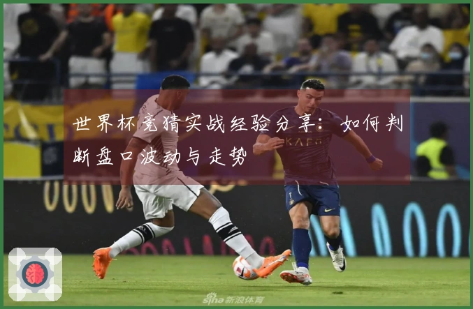 世界杯竞猜实战经验分享：如何判断盘口波动与走势