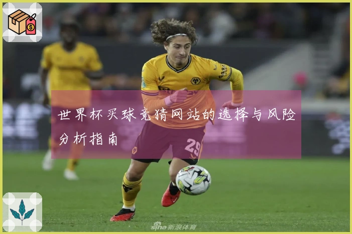 世界杯买球竞猜网站的选择与风险分析指南