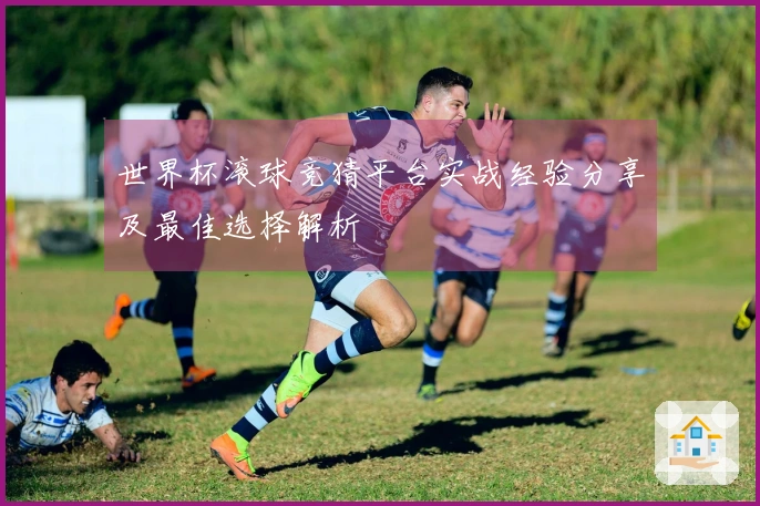 世界杯滚球竞猜平台实战经验分享及最佳选择解析